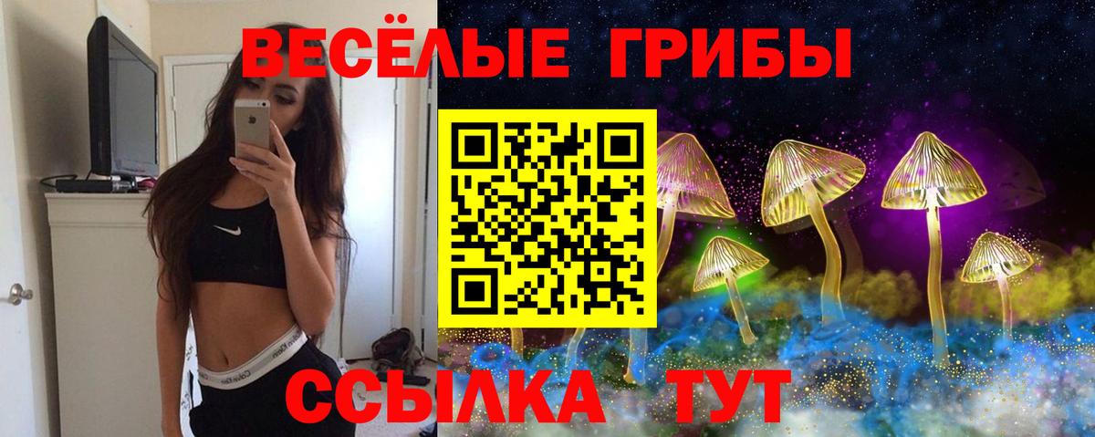 Галлюциногенные грибы Cubensis  Псилоцибиновые грибы GOLDEN TEACHER  Вход с VPN  Канаш 